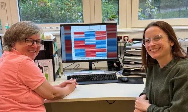 Studie zu Anorexia nervosa: Epigenetische Effekte bleiben trotz Gewichtszunahme aus