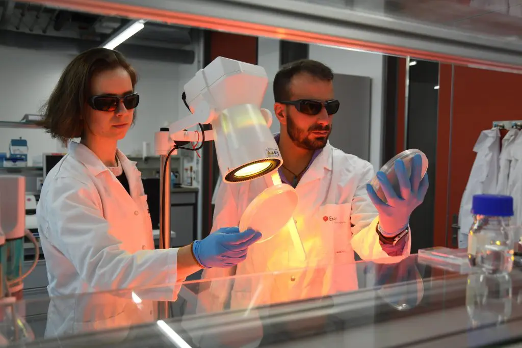 Mikrobenjäger: Die Empa-Forscher Paula Bürgisser und Giacomo Reina vom Labor "Nanomaterialien in der Gesundheit" in St. Gallen. Bild: Empa