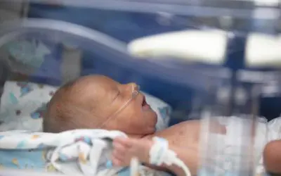 Neugeborene: Neue Erkenntnisse zur Behandlung der angeborenen Zwerchfellhernie