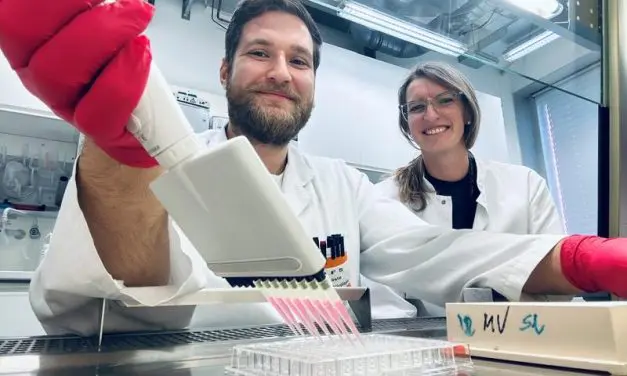Sphingolipide steuern Bildung von Coronavirus-Replikationsorganellen