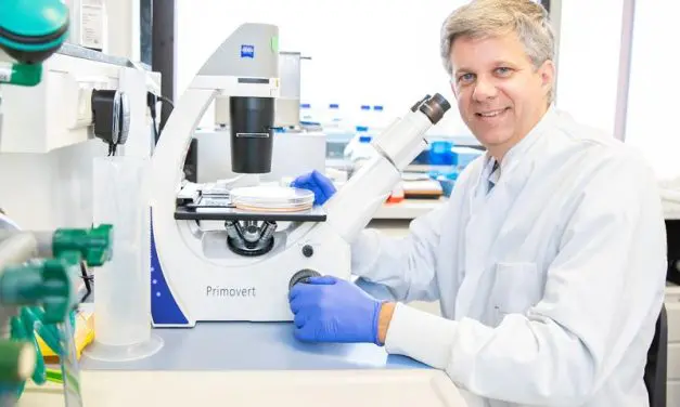 Zellen wandeln virale Sabotage in effektive Abwehr um