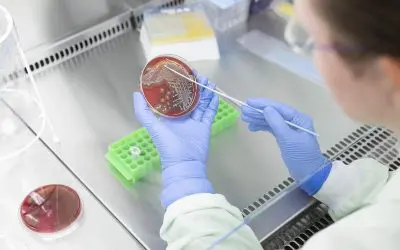 Neue Mikroarray-Plattform erkennt Impflücken und Resistenzen mit einem Tropfen Blut