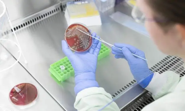 Neue Mikroarray-Plattform erkennt Impflücken und Resistenzen mit einem Tropfen Blut