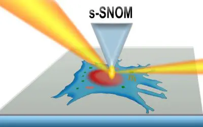 Neue Methode ermöglicht hochaufgelöste Infrarot-Karten lebender Zellen
