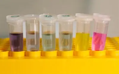 Nanoröhren-Sensoren für biomedizinische Anwendungen