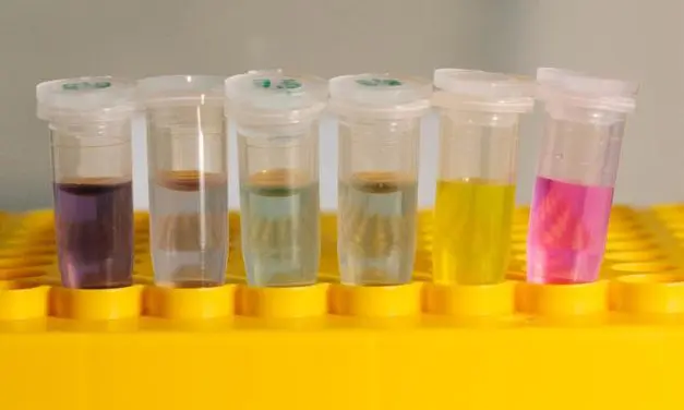 Nanoröhren-Sensoren für biomedizinische Anwendungen