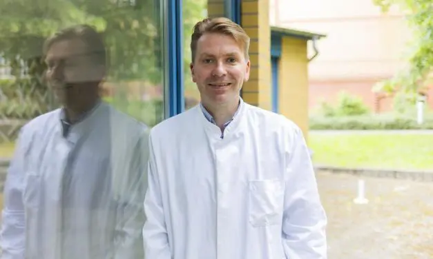 Labor als Lebensretter: Organoide ermöglichen personalisierte Behandlung von Darmkrebs