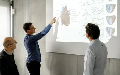 Digitaler Zwilling simuliert patientenspezifisches Herz