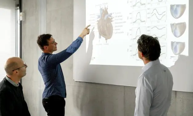 Digitaler Zwilling simuliert patientenspezifisches Herz