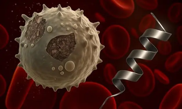 Neue Therapieansätze gegen aggressive Kinderleukämien