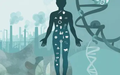 Luftverschmutzung stört Stoffwechsel bei Mäusen