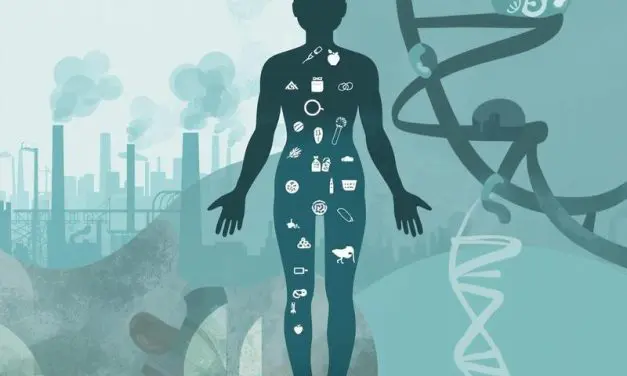 Luftverschmutzung stört Stoffwechsel bei Mäusen