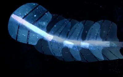 ETH-Forschende entwickeln ultraschallgesteuerte künstliche Muskeln aus Silikon