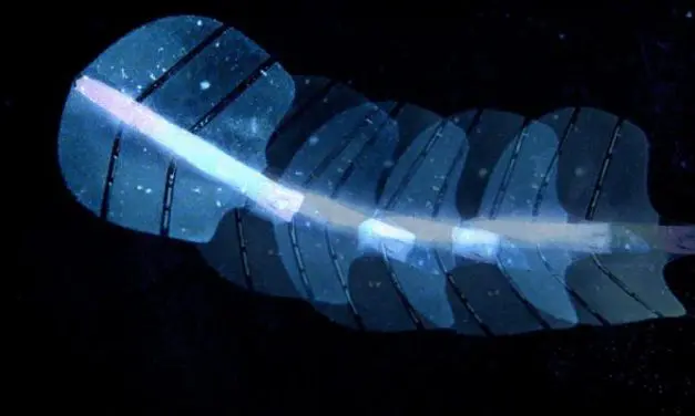 ETH-Forschende entwickeln ultraschallgesteuerte künstliche Muskeln aus Silikon