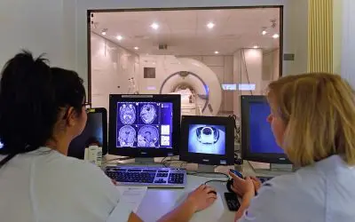 Studie enthüllt hormonelle Einflüsse auf Hirnplastizität