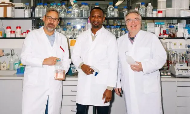 RADAR-Weg: Entdeckung neuer Qualitätskontrolle in Peroxisomen