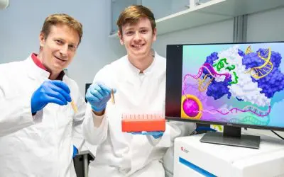 Drei Varianten des CRISPR-Cas9-Systems für gezieltere und wirksamere biomedizinische Anwendung optimiert