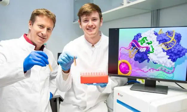 Drei Varianten des CRISPR-Cas9-Systems für gezieltere und wirksamere biomedizinische Anwendung optimiert