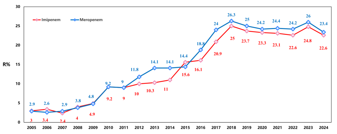CHINET-Überwachungsbericht 2024: Positive Anzeichen im Kampf gegen Superbakterien