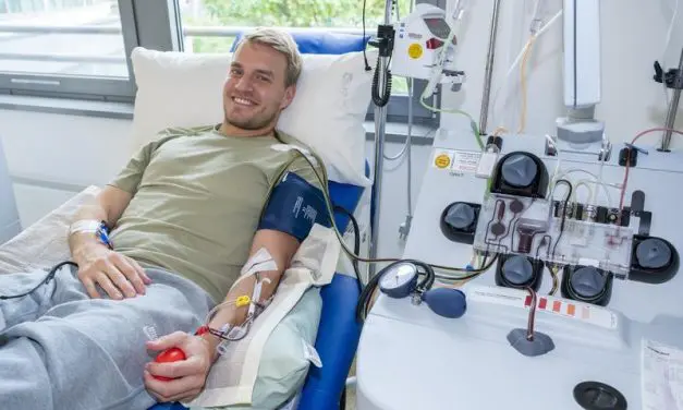 Jüngeres Spenderalter verbessert Erfolgschancen bei Stammzelltransplantationen