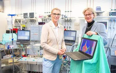 Militärforschung an der MHH: System zur Konservierung amputierter Gliedmaßen in Arbeit