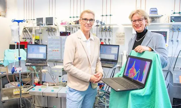 Militärforschung an der MHH: System zur Konservierung amputierter Gliedmaßen in Arbeit