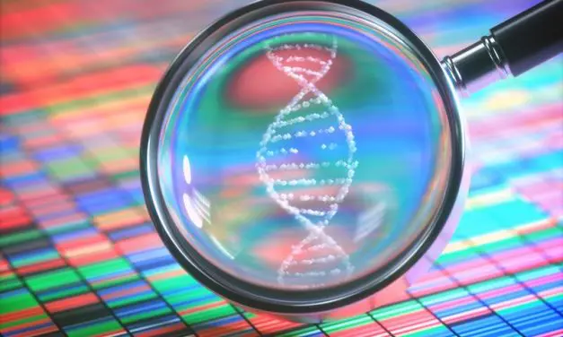 Einzelnes Gen kann psychische Erkrankungen verursachen