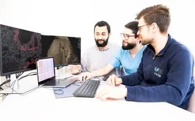 Molekulare Signaturen für bessere Diagnose von Lebertransplantations-Abstoßungen entdeckt