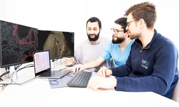 Molekulare Signaturen für bessere Diagnose von Lebertransplantations-Abstoßungen entdeckt