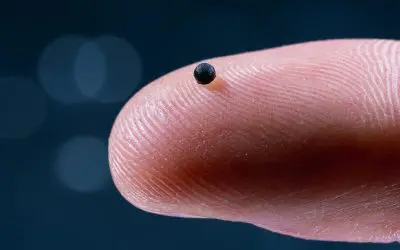 ETH Zürich entwickelt Mikroroboter für gezielte Medikamentenabgabe