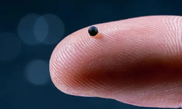 ETH Zürich entwickelt Mikroroboter für gezielte Medikamentenabgabe