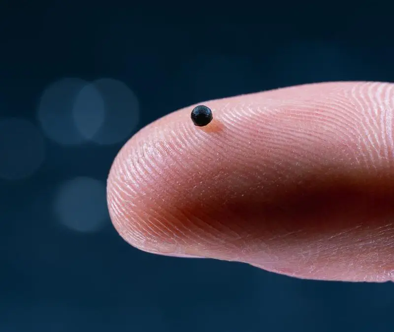 ETH Zürich entwickelt Mikroroboter für gezielte Medikamentenabgabe