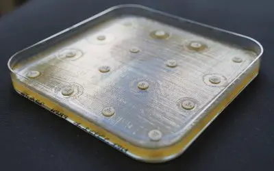 Oldenburger KI-Modell „CarbaDetector“ revolutioniert Erkennung von Antibiotikaresistenzen