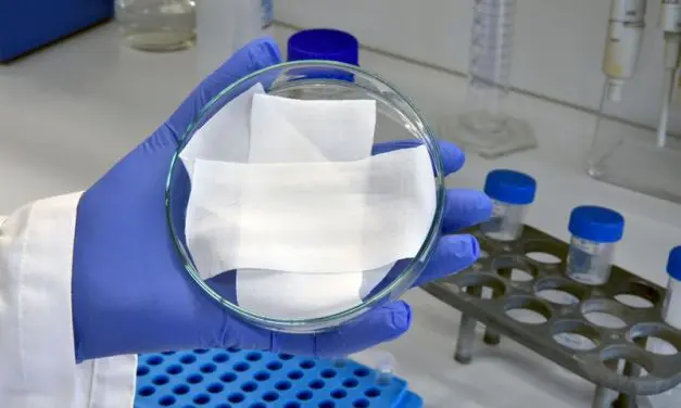 DITF entwickelt Grundlage für präventive Slipeinlage gegen bakterielle Vaginose