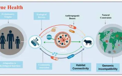 Antibiotika-Resistenz ist uralt, ökologisch bedingt und wird durch menschliche Aktivitäten verstärkt