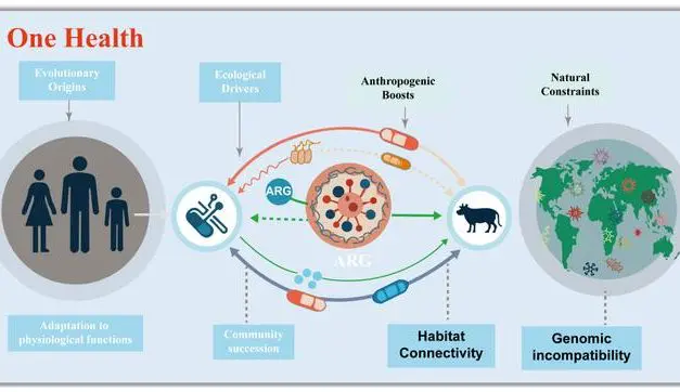 Antibiotika-Resistenz ist uralt, ökologisch bedingt und wird durch menschliche Aktivitäten verstärkt