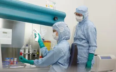 UKHD erhält Genehmigung für eigenes CAR-T-Zellprodukt gegen CLL