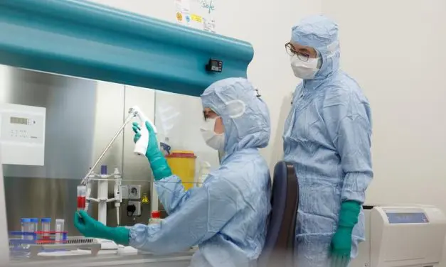 UKHD erhält Genehmigung für eigenes CAR-T-Zellprodukt gegen CLL