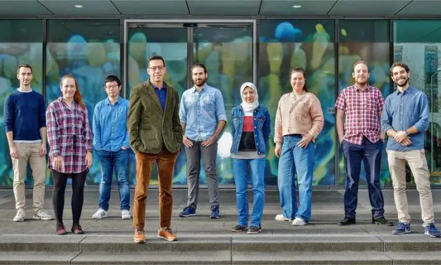 Dresdner Studie enthüllt neue Rolle von MCL1 in Krebszellen