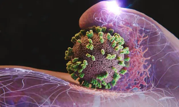 Neue Mikroskopie-Methode enthüllt: Zellen fördern  Grippevirus-Infektion aktiv