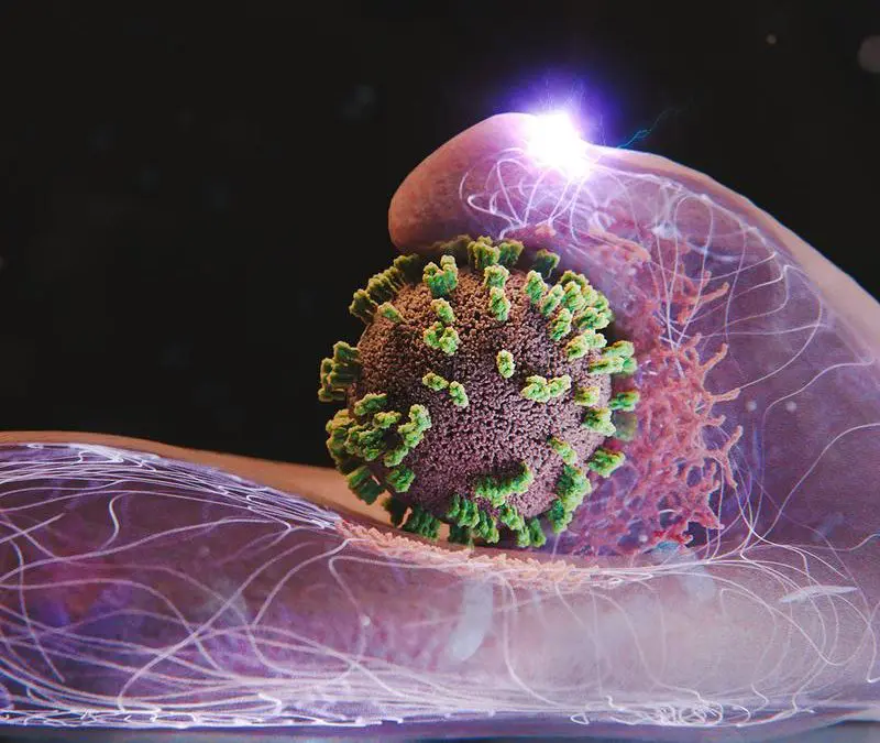 Neue Mikroskopie-Methode enthüllt: Zellen fördern  Grippevirus-Infektion aktiv