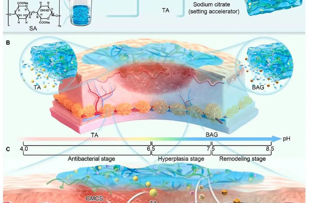 Intelligentes Hydrogel revolutioniert Wundversorgung