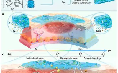 Intelligentes Hydrogel revolutioniert Wundversorgung