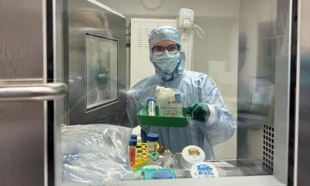 Erstes Knorpeltransplantat aus Würzburg auf dem Weg zur Implantation