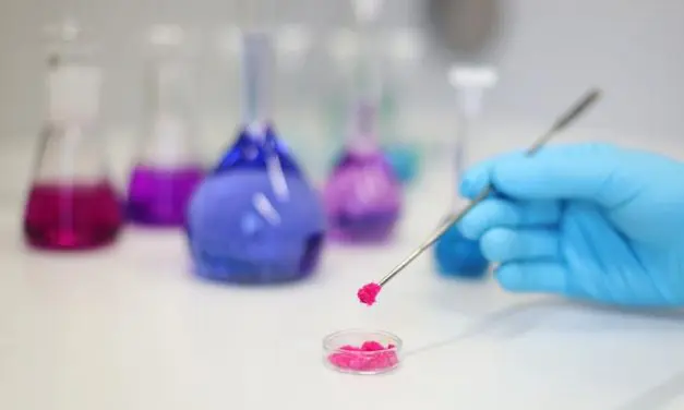 Neuer umweltfreundlicher Prozess wandelt Lignin in wertvolle Amide um