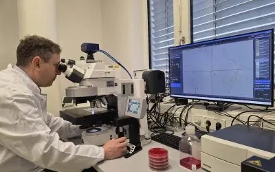 Neues Mikroskop beschleunigt Diagnostik von Infektionen