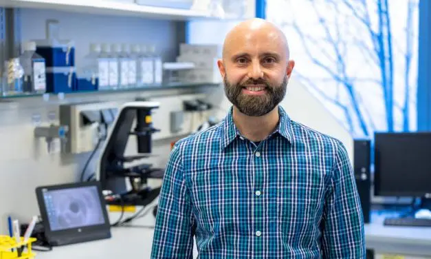 ERDERA fördert neue Forschungskonsortien zu Seltenen Erkrankungen