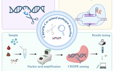 Zoonosen: CRISPR-Cas-Systeme revolutionieren Pathogennachweis