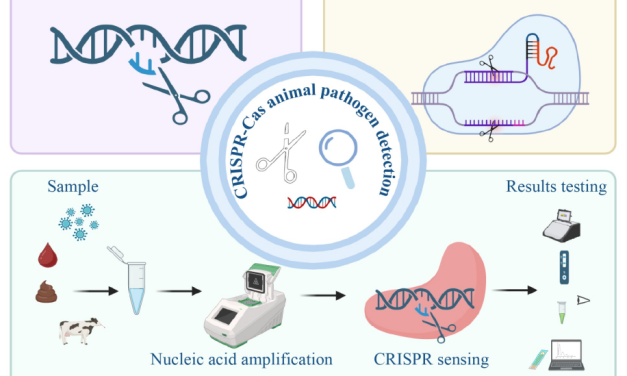 Zoonosen: CRISPR-Cas-Systeme revolutionieren Pathogennachweis