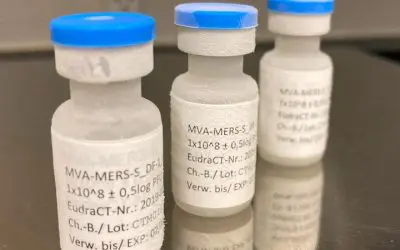 Impfstoffkandidat gegen MERS zeigt langanhaltende Immunantwort